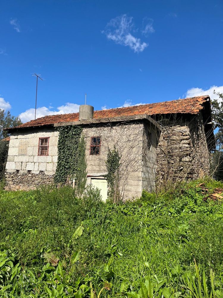 Moradia para restauro com logradouro, pinhal e eucaliptal