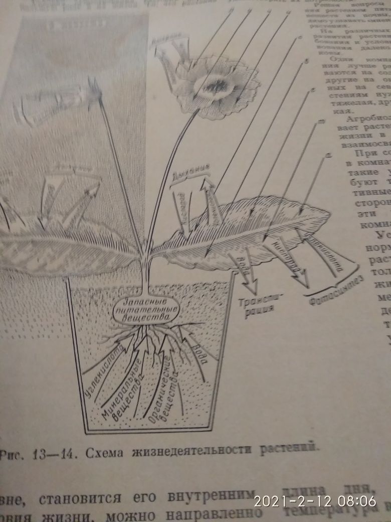 Старовинна книга "Комнатное садоводство" 1956, Москва