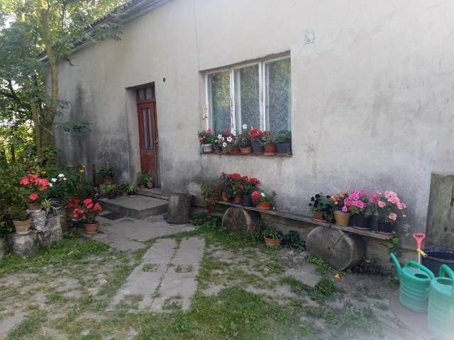 sprzedam siedlisko