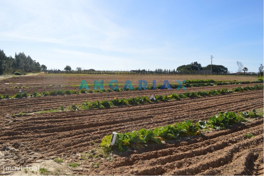 ANG157 - Terreno para Venda em Aveiras de Cima