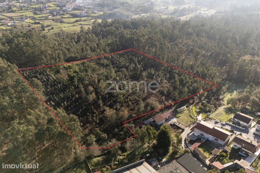Terreno Rustico com 22500 m2, em Argoncilhe, Santa Maria da Feira