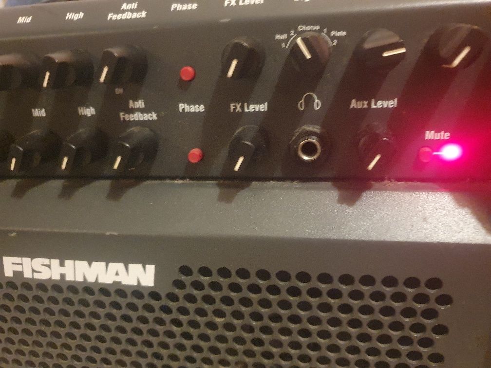 Fishman Loudbox 100