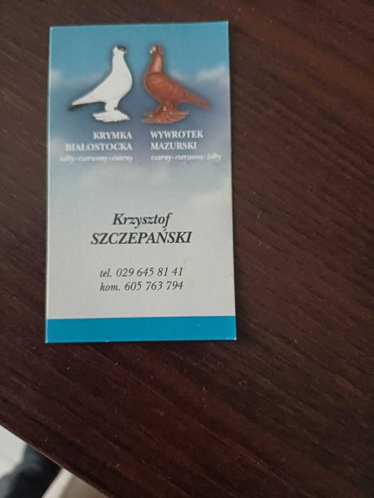 Gołebie pocztowe Mistrz