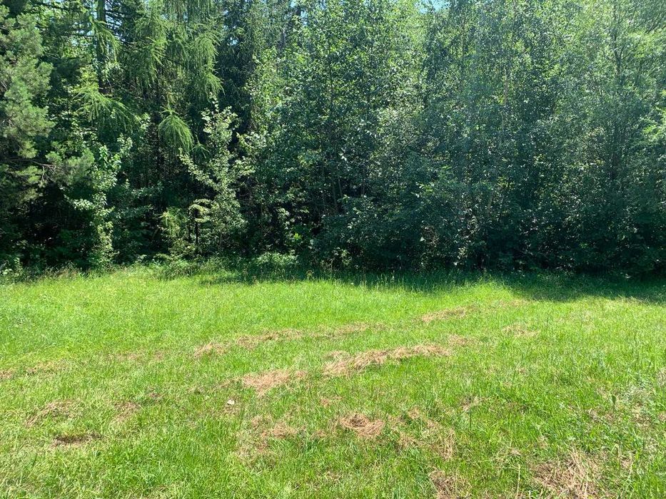 Земельна ділянка 46.1 соток