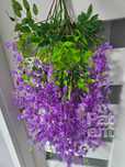Wisteria fioletowa glicynia sztuczna girlanda dekoracja 12 sztuk