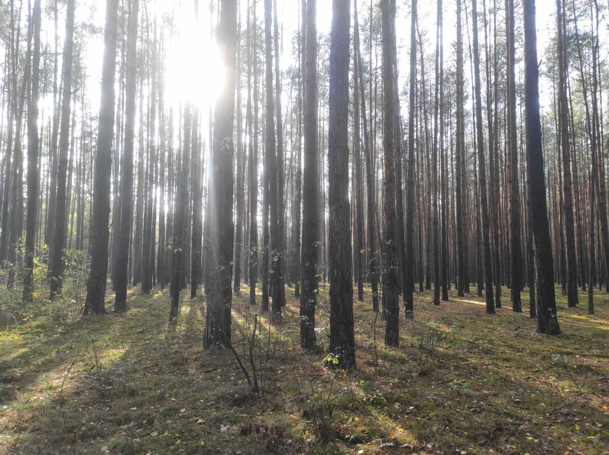 działka ponad 3ha z warunkami zabud. okolice zbiornika Jeziorsko