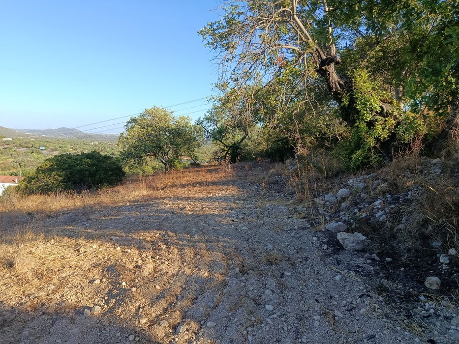 Terreno rústico Boliqueime