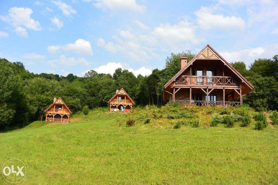 Pełne relaksu wakacje w Bieszczadach Solina, woda, las, rodzina z psem