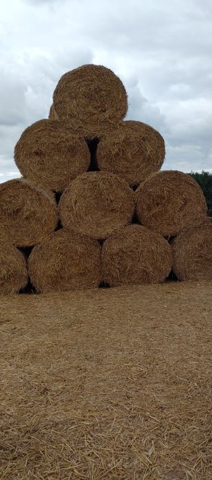 Sprzedam bale słomy 2025