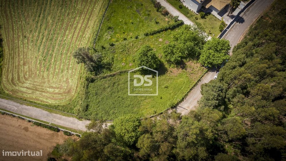 Terreno  Venda em Canedo, Vale e Vila Maior,Santa Maria da Feira