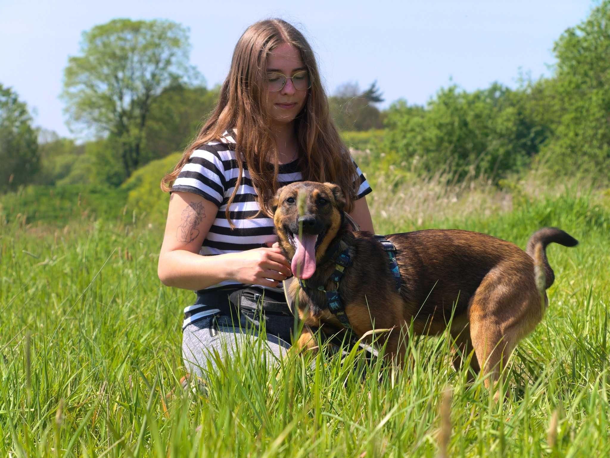 Tolunia - mniej niż roczny słodziak ADOPCJA