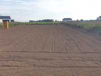 Glebogryzarką separacyjną- wynajem, usługa, zakładanie trawników