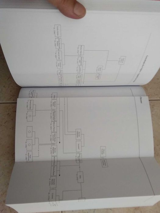 Samurais Cristãos - Os Jesuítas e a Nobreza Cristã do sul do Japão no