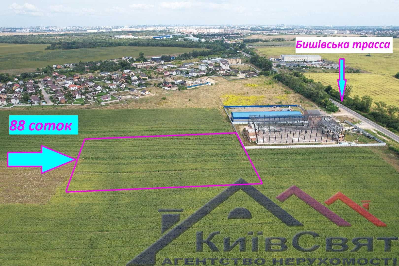 Святопетрівське продам ділянку 88 соток