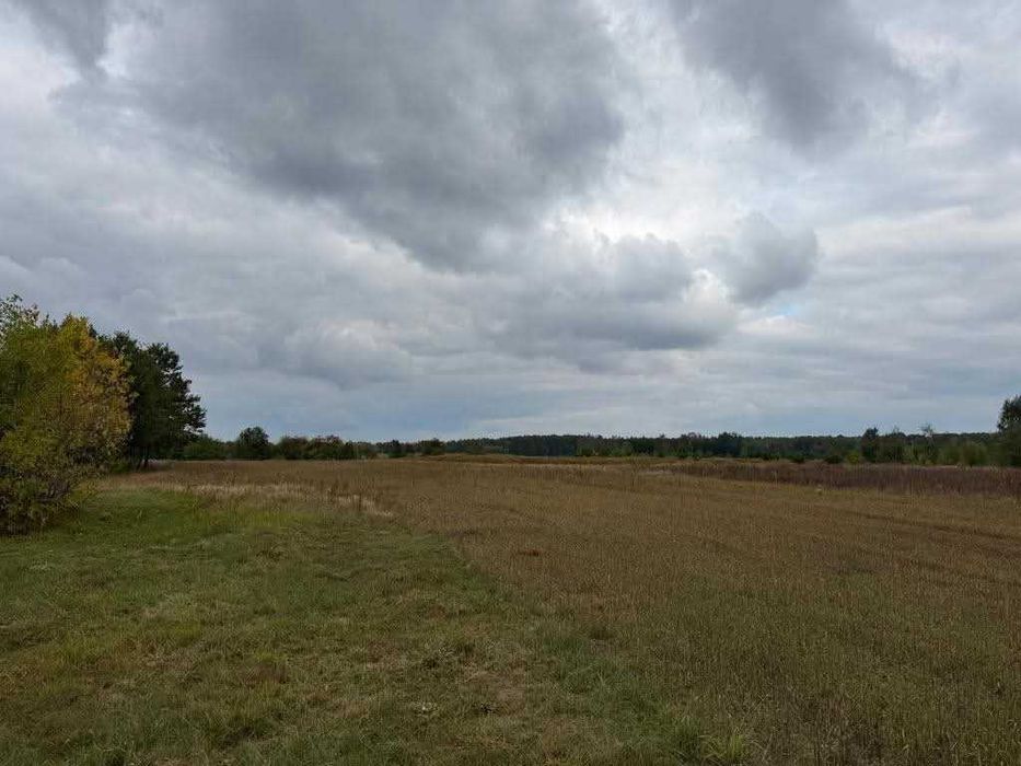 Działka rolno - budowlana 1,8 ha w Żarnowie