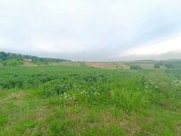 Ділянка село Ружичанка вулиця Вітрова