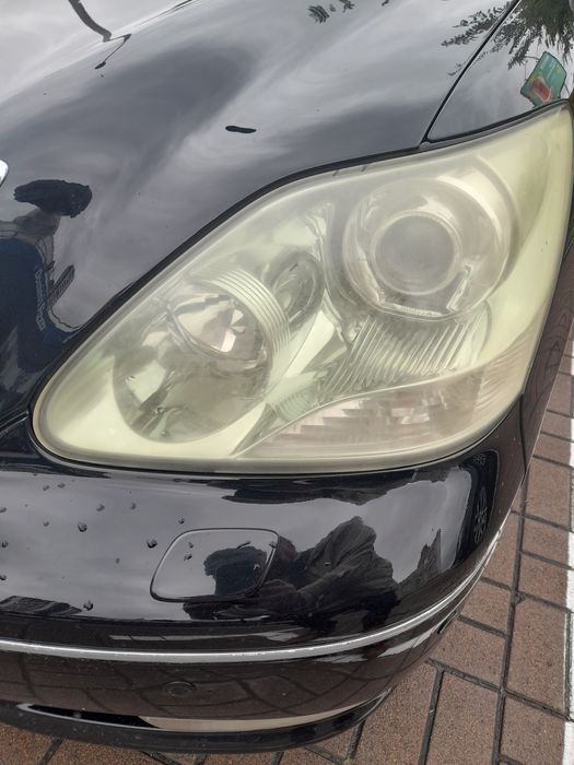 Продам "японського кабана"