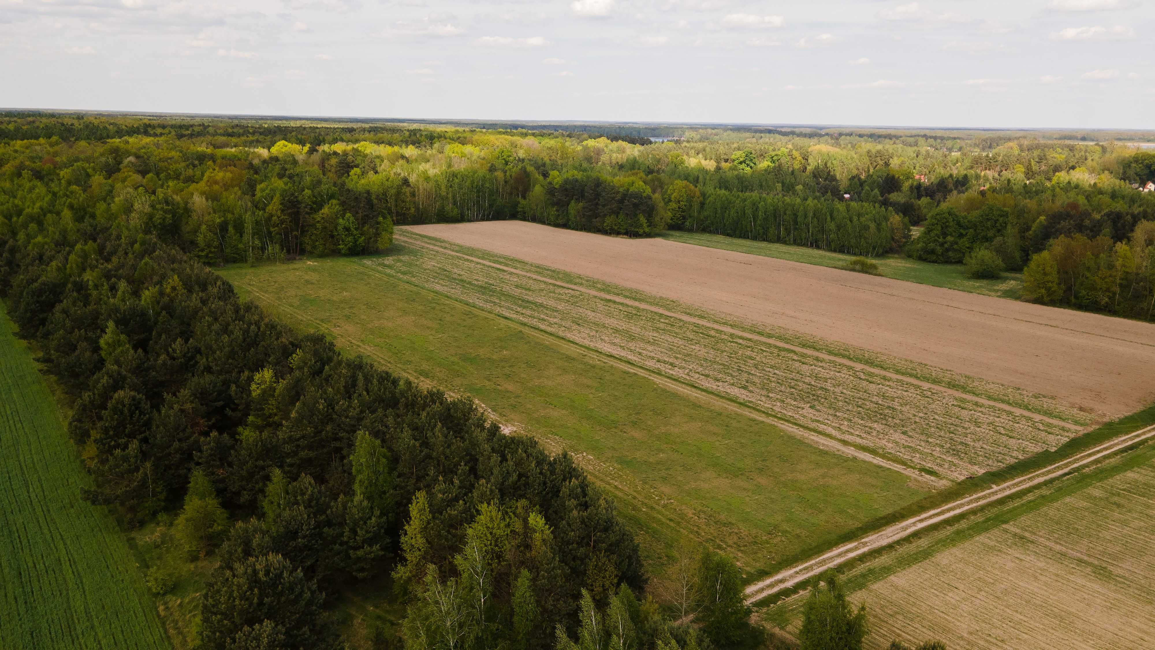 Działki na Pojezierzu Łęczyńsko-Włodawskim, Jezioro Piaseczno