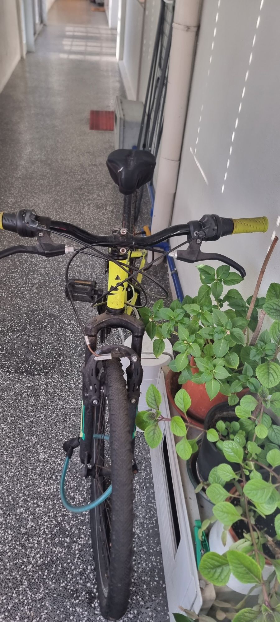 Vendo esta bicicleta