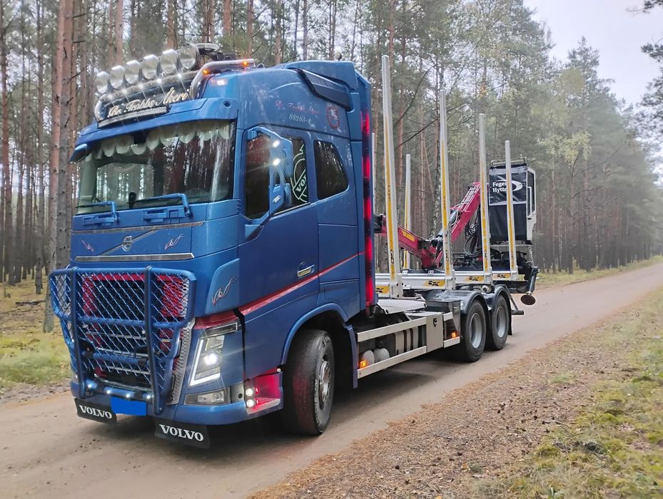 Volvo FH16 650 (DO DREWNA)  VOLVO FH16 650 (do drewna)