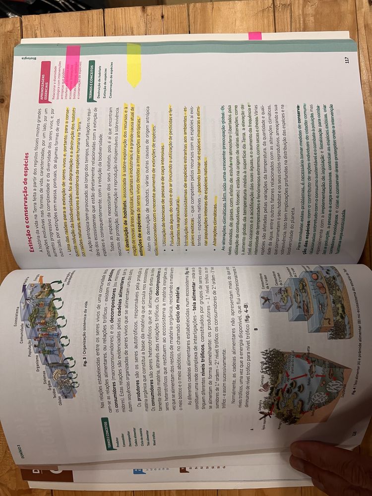 Livro de apoio ao estudo 10° Biologia e Geologia