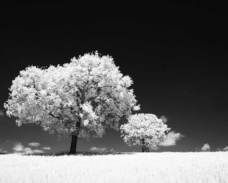 Інфрачервона фотоплівка Rollei INFRARED 400 / 36 кадрів
