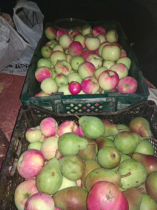 Дача с.Вільне СТ Мрія