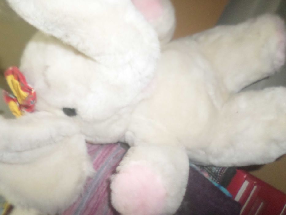 Peluche novo com etiqueta  /  outros