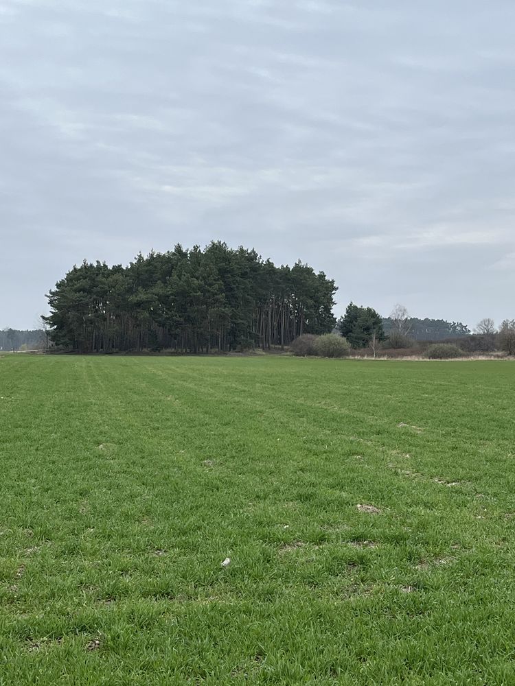 Sprzedam las i grunty rolne 1,6 ha