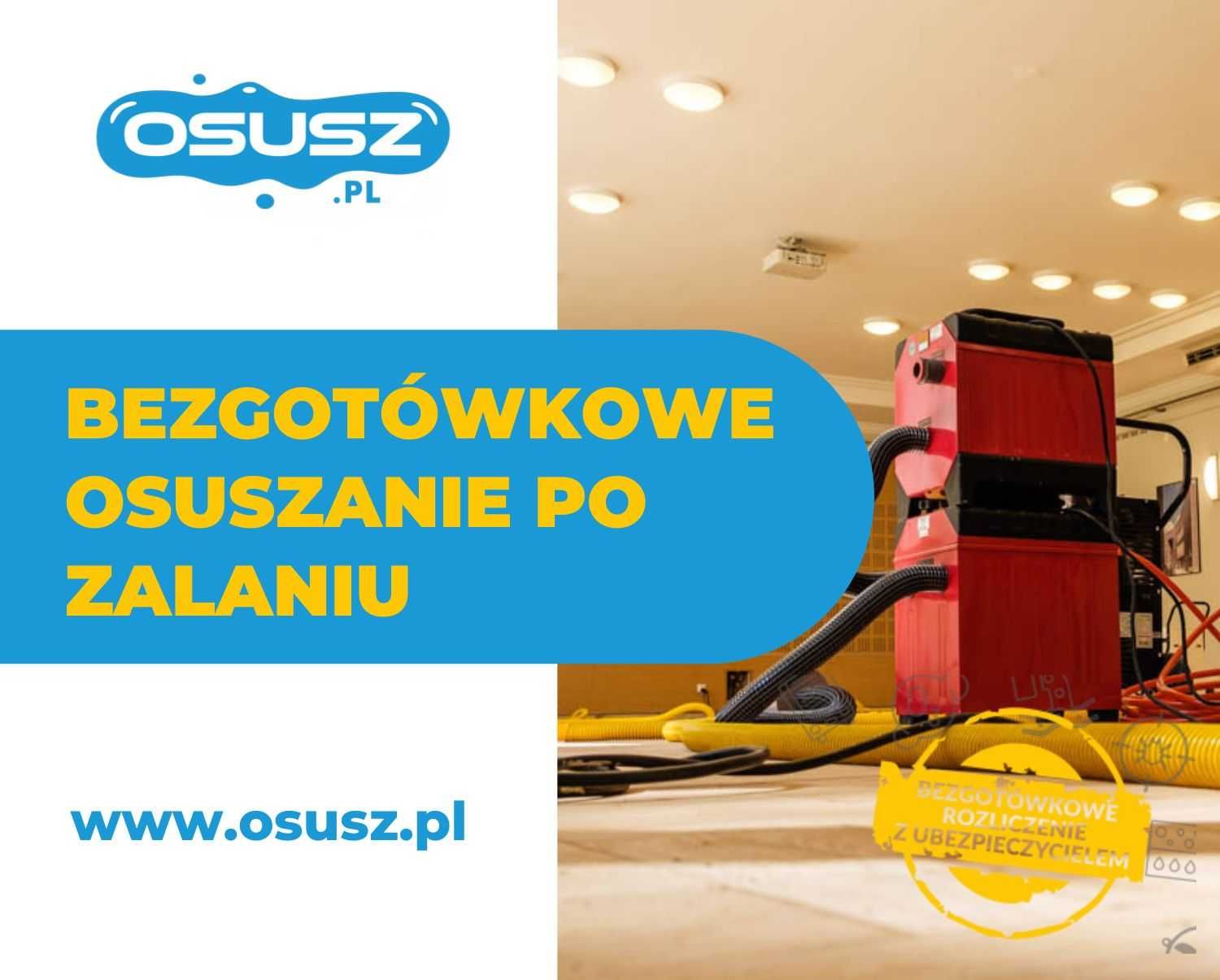 Osuszanie budynków, Osuszanie po zalaniu mieszkania, domu, Osuszacz