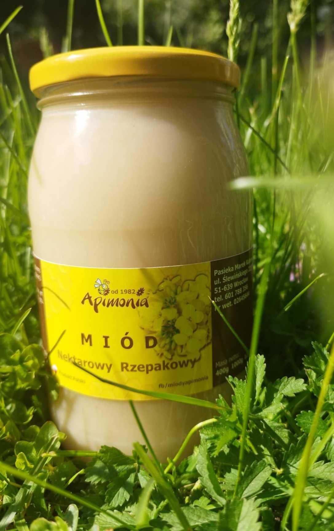 Miód rzepakowy hurtowo z Dolnego Śląska