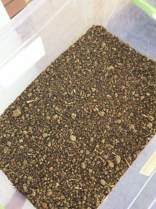 śruta rzepakowa big bag z dostawą