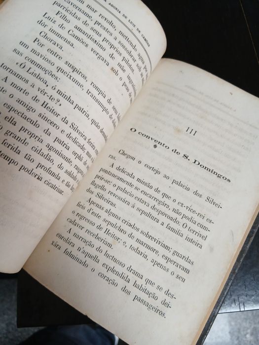 A agonia de Luis de Camões