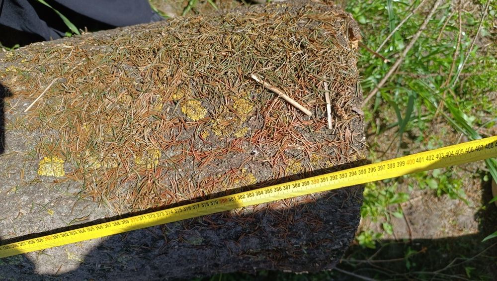 Drewno kominkowe lub dąb do dalszej obróbki