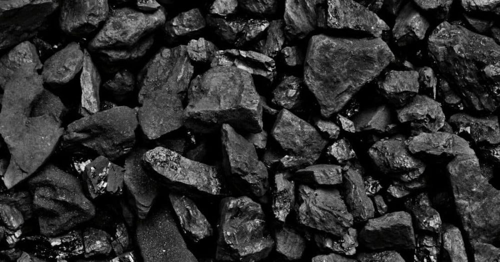 EKOGROSZEK                     .