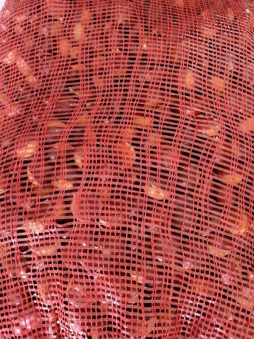 Vendo castanhas de Lamego