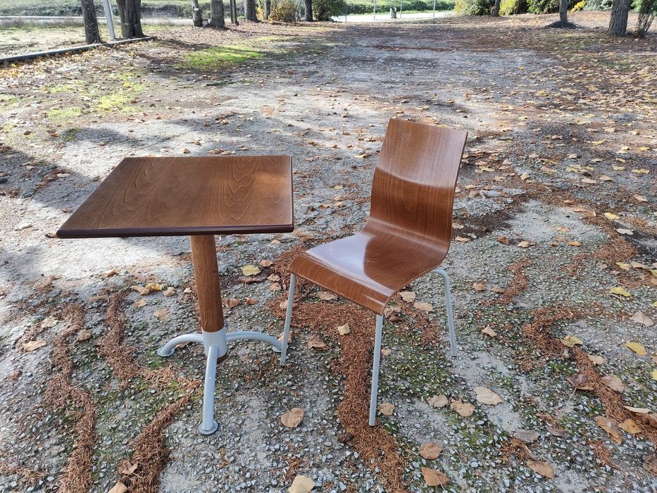 Mobília de sala para Café/ Restaurante