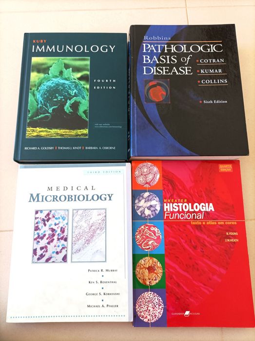 Lote de Livros sobre Medicina (Anatomia / Gastrenterologia)