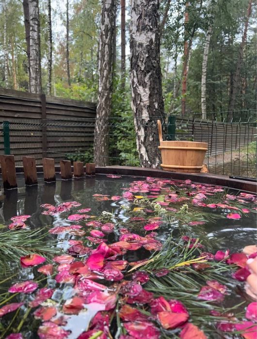 Чани з пелюстками троянд на дровах в лісі