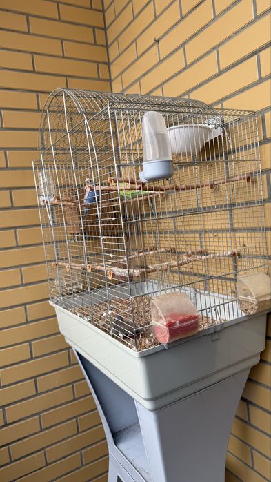 2 Gaiolas para aves em bom estado