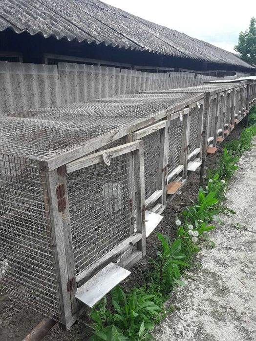 Продаются клетки для животных