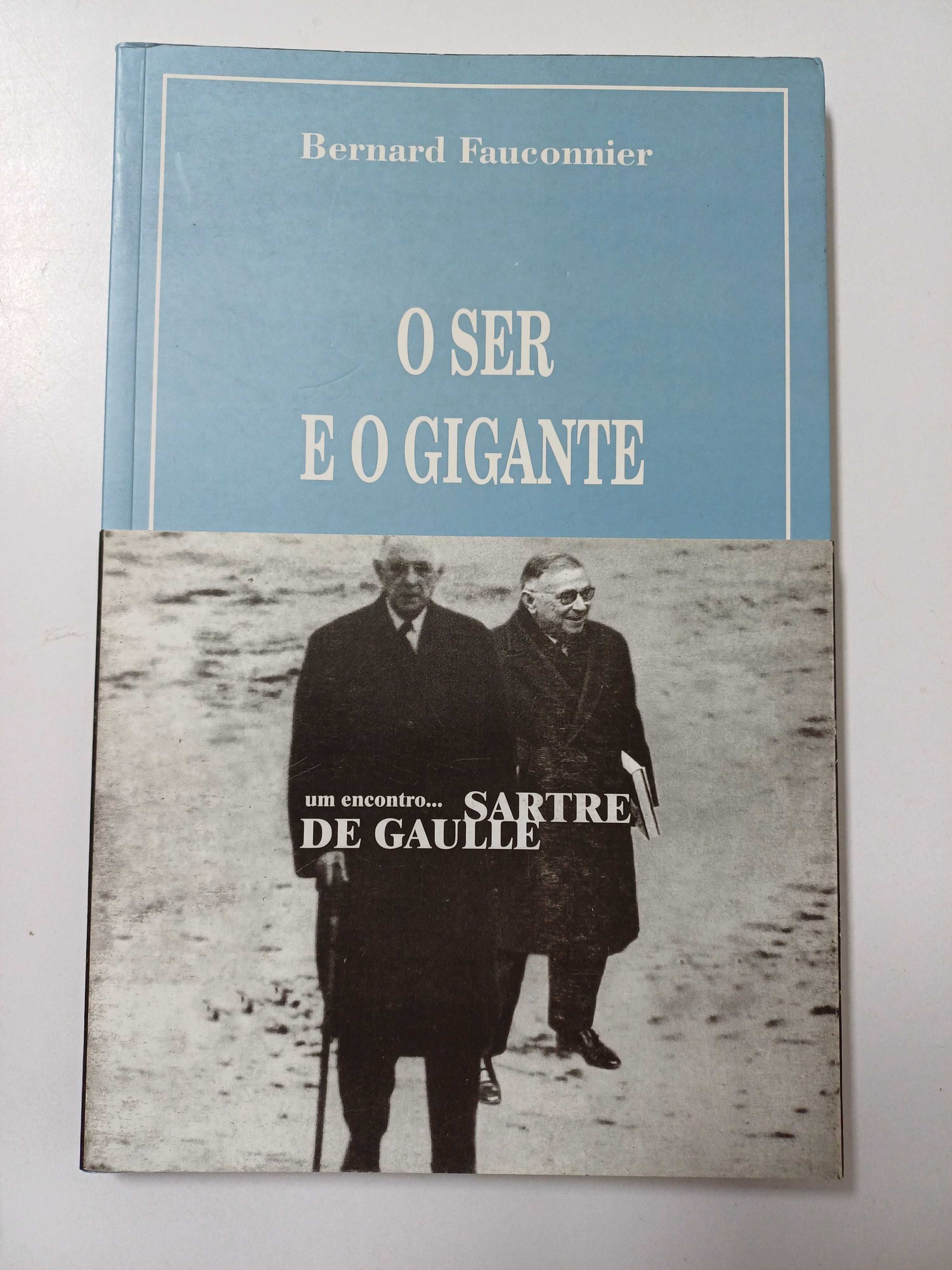 Bernard Fauconnier - O ser e o gigante