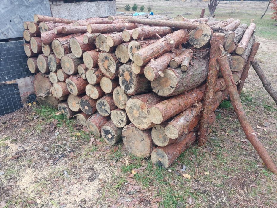 Drewno opałowe sosna