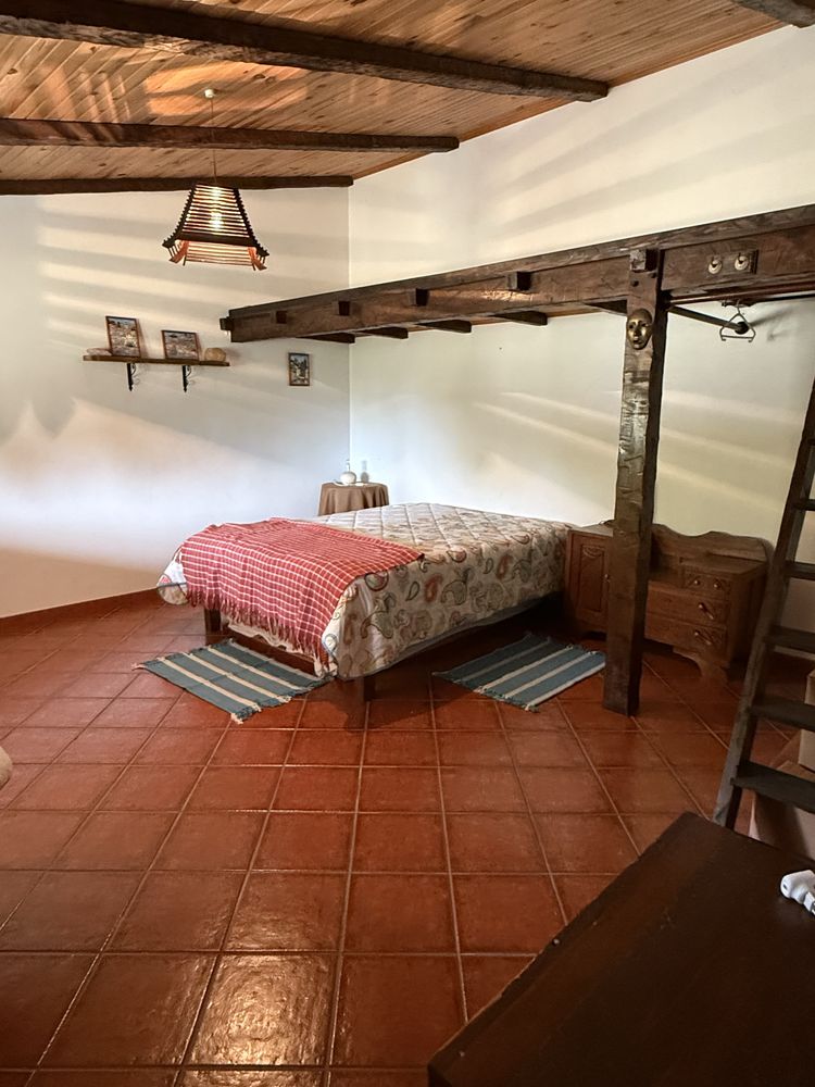 Quinta no Centro de Mira com 10.000 m² – Oportunidade Única!