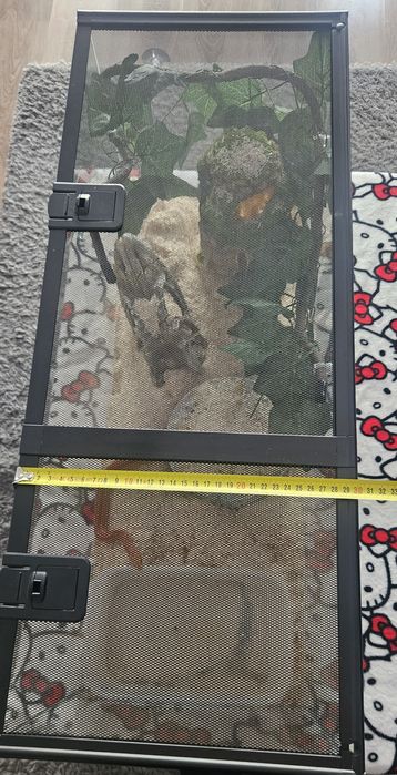 Terrarium 75x30x35cm + dodatki!