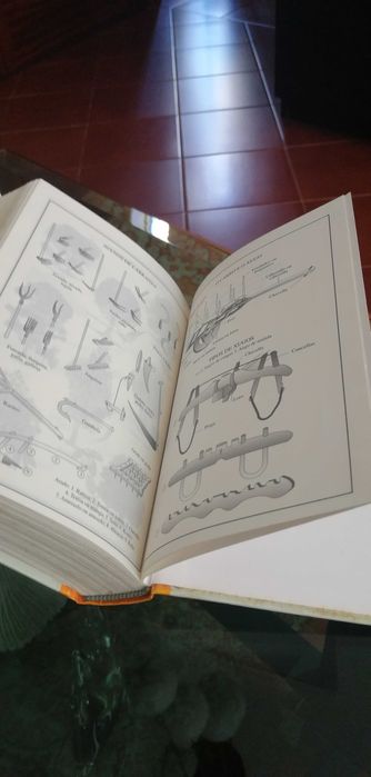 Dicionário Galego-Portugues