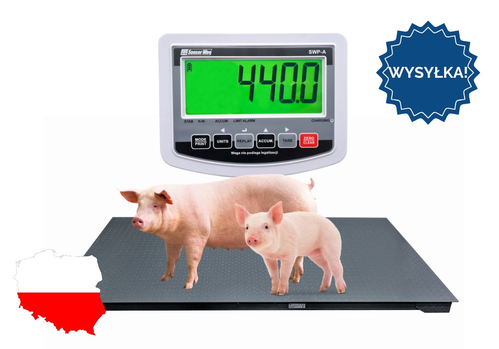 Waga inwentarzowa Do Zwierząt do 5000kg do krów świń 1,00x2,20 DOSTAWA