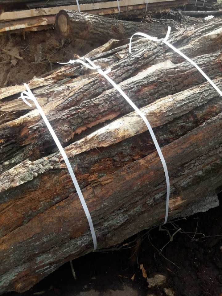 drewno kominkowe opałowe  dąb dębina