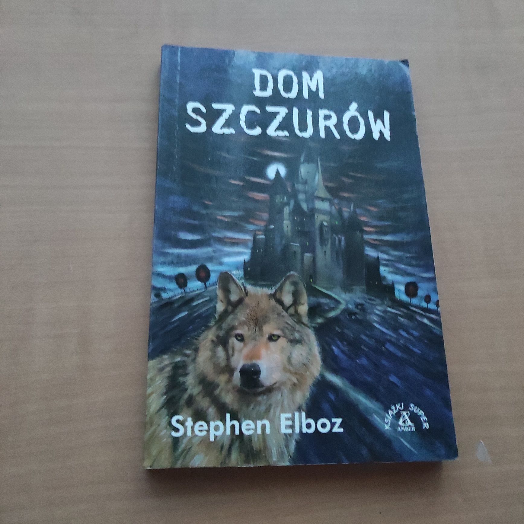 Dom szczurów Stephen Elboz dla młodzieży