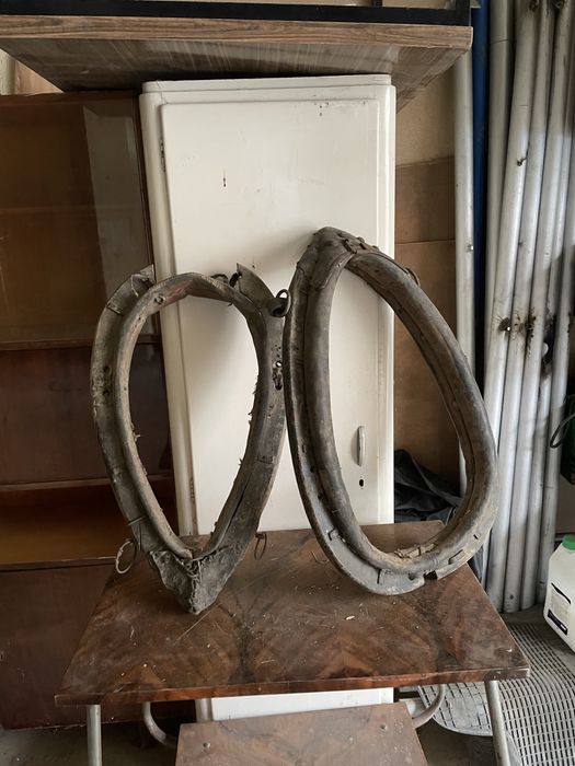 Osprzęt dla konia chomonta uzdy lejce